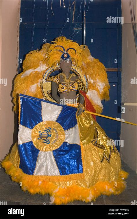 Exhibition Fantasias Do Samba Carnival Costume São Luis Brazil Stock