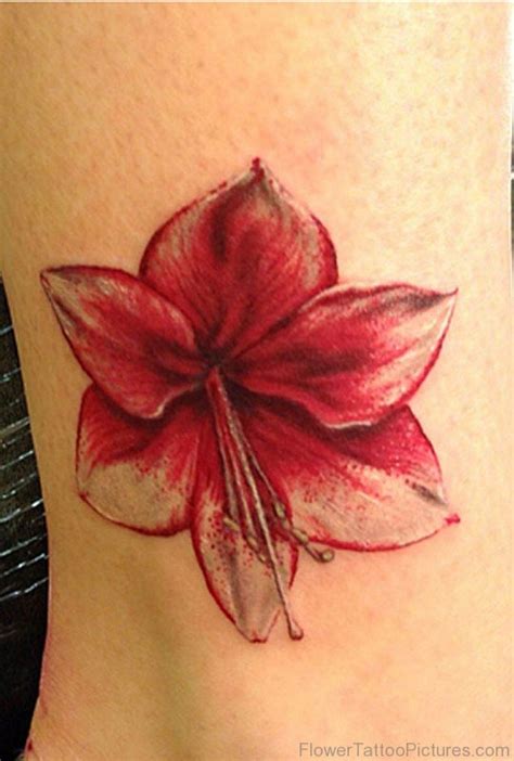 58 Brilliant Amaryllis Flower Tattoos