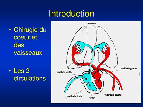 PPT La Chirurgie Cardiovasculaire PowerPoint Presentation Free