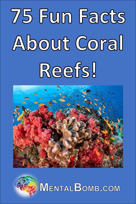 75 Cool Coral Reefs Facts Coral Reef Coral Reef Photography Coral