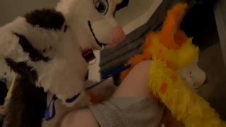 Real Furry Sex TFF 2018 HotPornTV Net XXX Sex Videos And Porn Star Movies