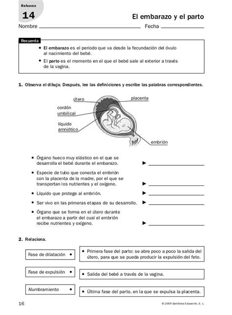 Actividades de refuerzo conocimiento del medio 6º Teaching biology