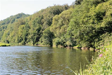 View on the River Semois, Belgian Ardennes Stock Image - Image of ...