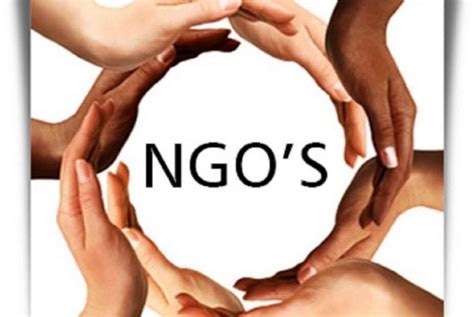 A Look At The Different Types Of Ngos By Gokul Ambat Medium