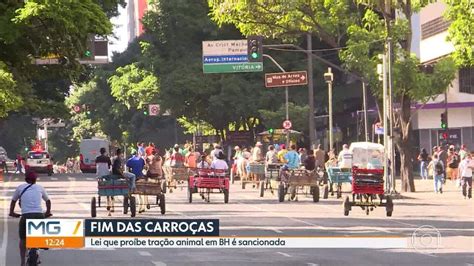 Lei que proíbe carroças puxadas por animais é sancionada em BH Minas