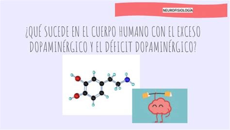 IMPORTANCIA DE LA DOPAMINA EN EL CUERPO HUMANO