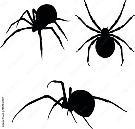 Spider black widow. Vector outline drawing for halloween. Spider collection Stock Vector | Adobe ...