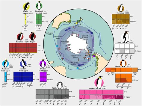 Chinstrap Penguin Habitat Map