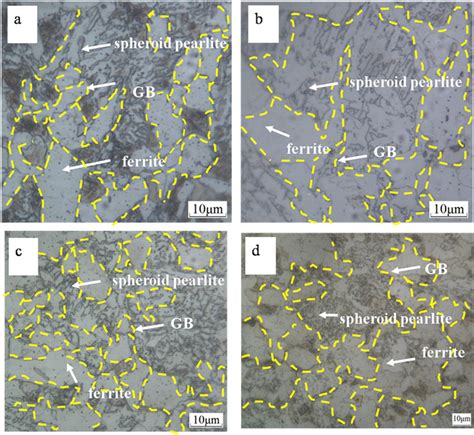 Optical Micrographs Are Showing Ferrite And Pearlite Structure With