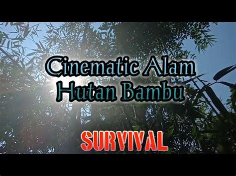 Cinematic Alam Hutan Bambu Nature Survival Cinematic Cinematicvideo