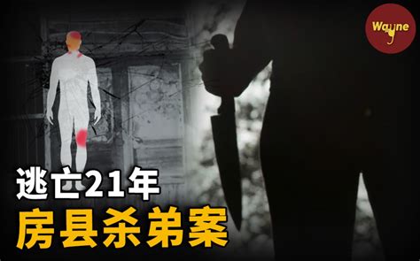 他为何对亲弟弟痛下狠手？父亲知情却为何不报案？房县兄弟相残事件 Way 哔哩哔哩