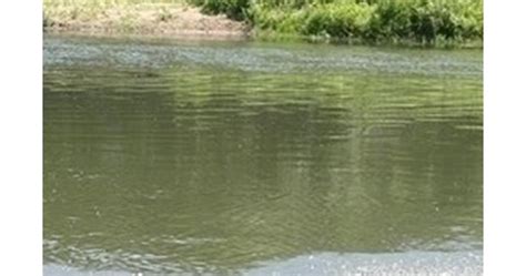 Отпадъчните води на фирма замърсяват Русенски Лом