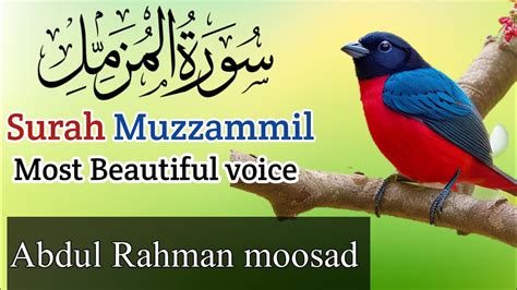 Surah Muzammil Abdul Rahman Mossad With Urdu Translation Ya Ayyuhal