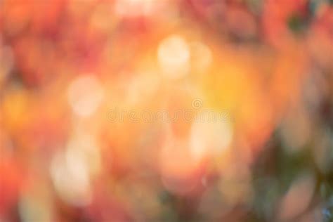 Defocus Light Of Different Colors Blurred Background Abstract Red