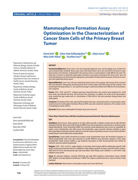 Pdf Mammosphere Formation Assay Optimization In The Characterization Of Cancer Stem Cells Of