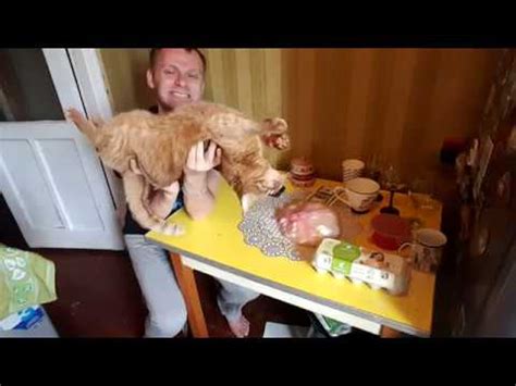 РЕЦЕПТ СЫРНИКОВ ОТ ПРАБАБУШКИ НАСТИ - YouTube