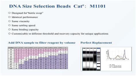 DNA Size Selection Beads Biomiga