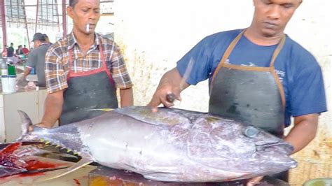 Expert Cutting Skills Biggest Tuna Fish Fillet Boneless In Videos