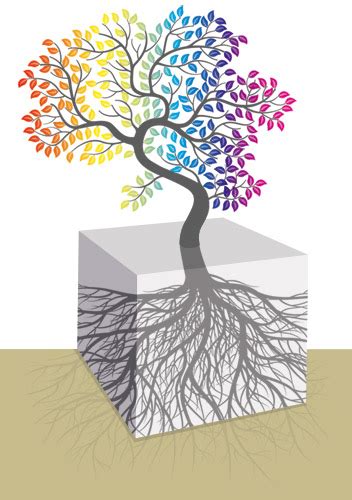 Sciences De La Vie Et De La Terre Site Svt Acad Mie De Versailles