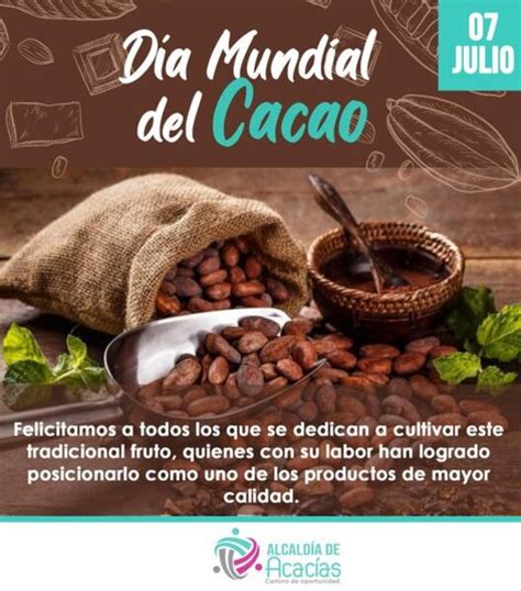 D A Mundial Del Cacao