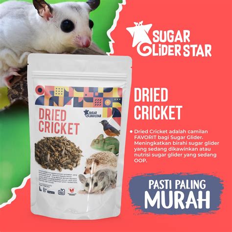 Jual Jangkrik Kering Dried Cricket Camilan Berprotein Sugar Glider