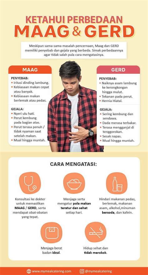 Tahukah Kamu Perbedaan Maag Dan GERD Pendidikan Kesehatan Sistem