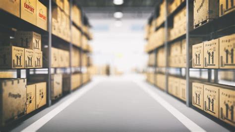 Pest Control For Warehouses And Storage Facilities Protect Inventory