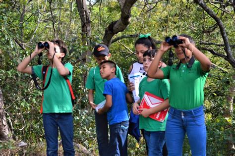 Mini Becas De Equidad De Celebra Las Aves Urbanas Iniciativas