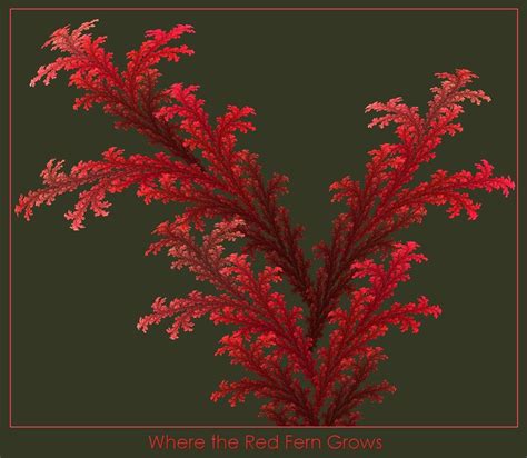 Where the Red Fern Grows by Roaguewolf on DeviantArt