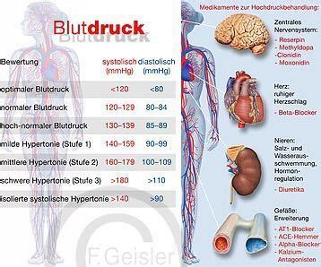 K Rper Krankheit Mensch Blutdruck Und Erkrankung An Bluthochdruck