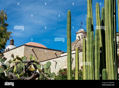 Los Cactus Enmarcan El Antiguo Convento De Santo Domingo Que Ahora