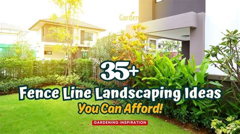 Simple Fence Line Landscaping Ideas You Can Afford