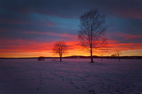 Winter Wallpaper 4K Sunset