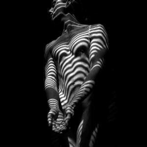 8903 SLG Zebra Woman Shoulders And Back Sensual Nude Abstract Black