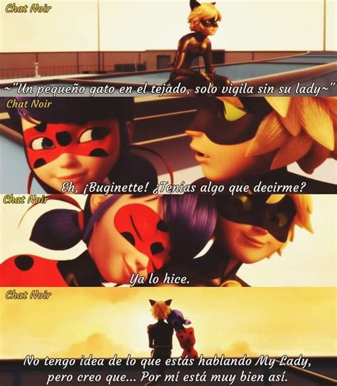 Pin De Lulu Henry En Cat Noir En 2024 Memes De Miraculous Ladybug