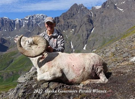 Dall Sheep Hunt Raffle Sci Alaska