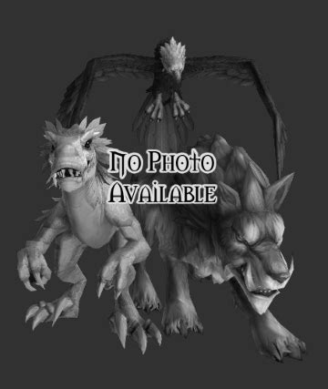 Karkidan - Warcraft Wiki - Your wiki guide to the World of Warcraft