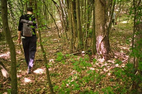 Premium Photo Man Standing By Tree Trunk In Forest