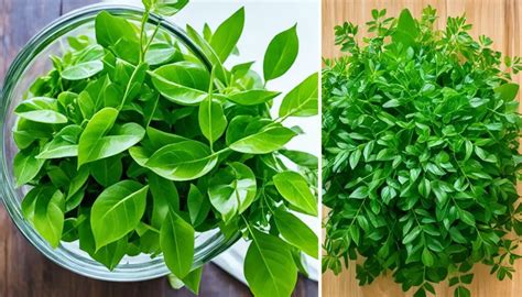 30 Plants You Can Grow For Free With Cuttings