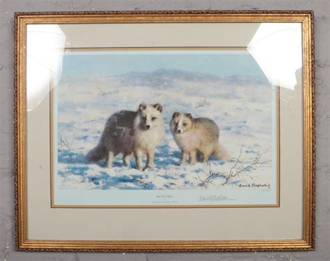David Shepherd A Signed Limited Edition David Shepherd Print Arctic