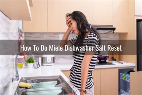 How To Reset Miele Dishwasher Ready To Diy