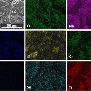 Bse Image And X Ray Elemental Maps Of A Cross Section Of The Alloy Ohs