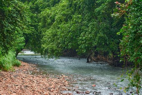 Sanjay Gandhi National Park Mumbai Timings Fees History