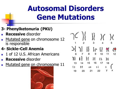 Phenylketonuria Chromosome