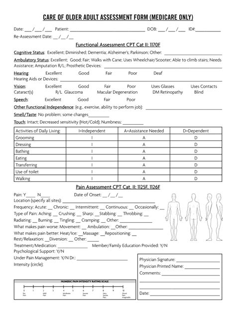 Care Of Older Adults Assessment Form Medicare Fill Online Printable Fillable Blank Pdffiller