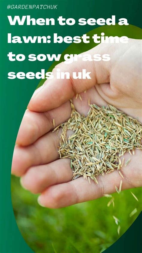 When To Seed A Lawn Best Time To Sow Grass Seeds In UK