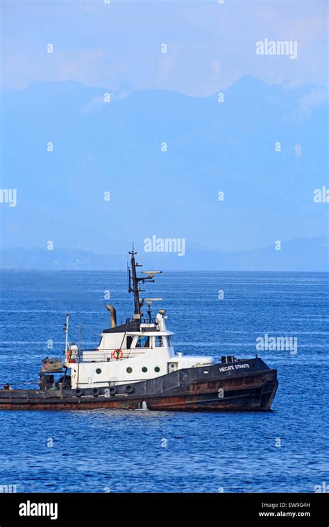 Tugboat Pulling Log Boom In Georgia Strait Just North Of Nanaimo