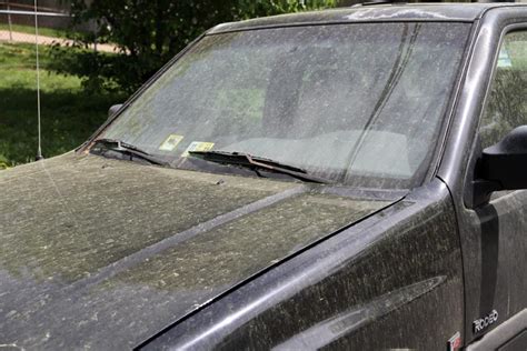 High Pollen Levels Leave Cars Covered Car Covers Pollen Car