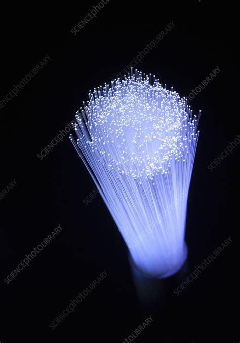 Illuminated Strands Of Fiber Optic Light Stock Image F0119434