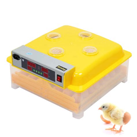 48 Eggs Incubator Industrial For Chicken Automatic Digital Egg Turner